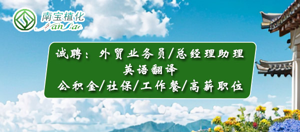 fun官网